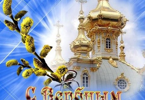 Прикольные статусы про себя с надписями Прикольные статусы про себя с надписями
