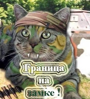 Красивые смс поздравление с летом в стихах изображения Красивые смс поздравление с летом в стихах изоражения