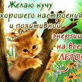 Смс поздравление нежное к юбилею женщине Смс поздравление нежное к юбилею женщине