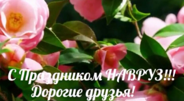 Статус для навруз Статус для навруз