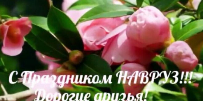 Смотреть Смс поздравления с праздником Навруз видео Смотреть Смс поздравления с праздником Навруз видео