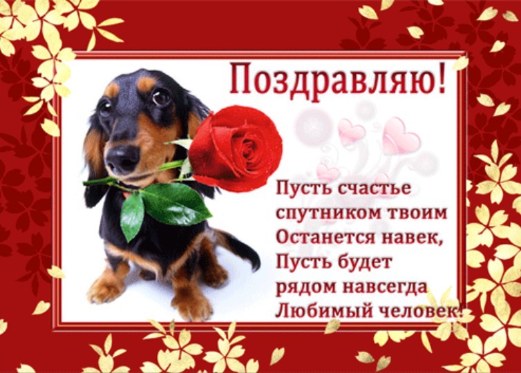 Поздравления С Днем Года Собаки
