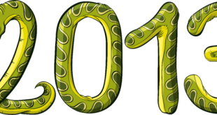 Поздравления с Новым годом - Прикольные Картинки, анимированные Открытки к Новому году 2013 - Пожелания с Новым годом Змеи - короткие СМС, Стишки