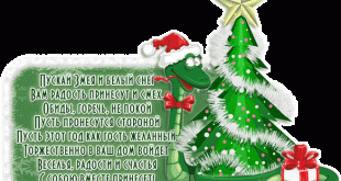 Прикольные Поздравления с Новым годом Змеи 2013 — Открытки с Новым годом, анимированные Картинки, Пожелания в стихах, СМС