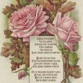 День психолога - Открытки поздравление с Днем психолога - Поздравления с Днем психолога в прозе короткие, в стихах прикольные
