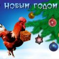 Открытки с Новым годом 2017 Петуха - Красивый петух картинки - Прикольные открытки с Новым годом Петуха 2017