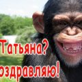 смешные открытки с днем татьяны бесплатно и без регистрации в формате jpg