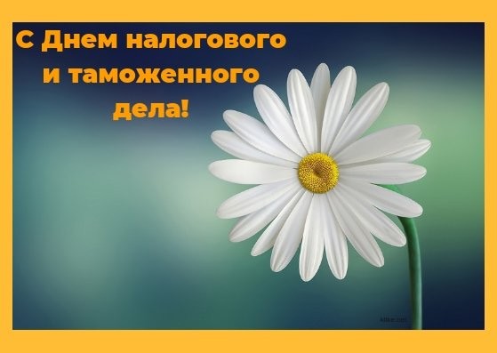 Картинки 18 марта с Днем налогового и таможенного дела Украины - День працівників податкової та митної справи України