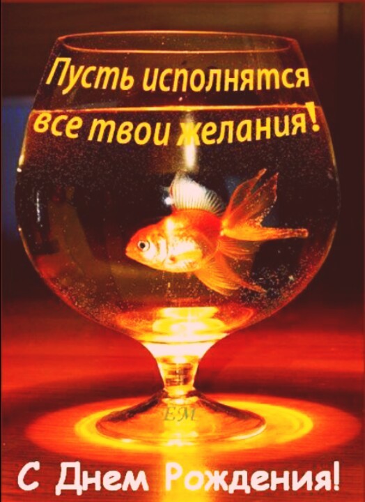 С Днем рождения! красивая открытка с золотой рыбкой - как для мужчин, так и для женщин. День рождения в 2017 году поздравления и пожелания в картинках. Поздравления с Днем рождения короткие в прозе с красивыми словами пожеланиями