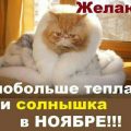 Праздники в ноябре 2017 года поздравления и пожелания