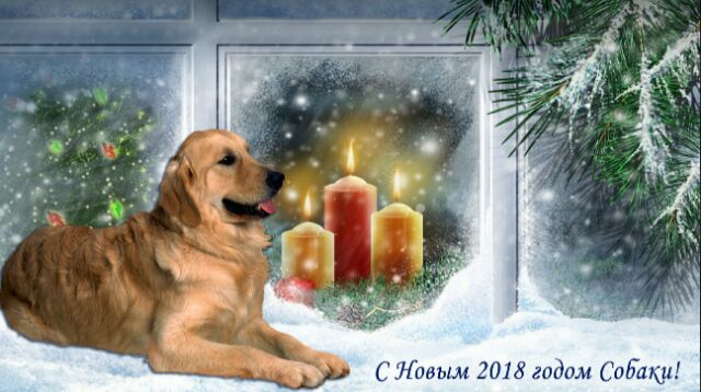 поздравления с Новым годом 2018 Собаки