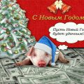 Открытки с Новым годом 2019 Свиньи с пожеланиями