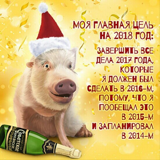 Статусы с Новым годом 2019 прикольные про Свинью и мечты пожелания. Смешные шуточные статусы про Новой год в картинках со Свиньей
