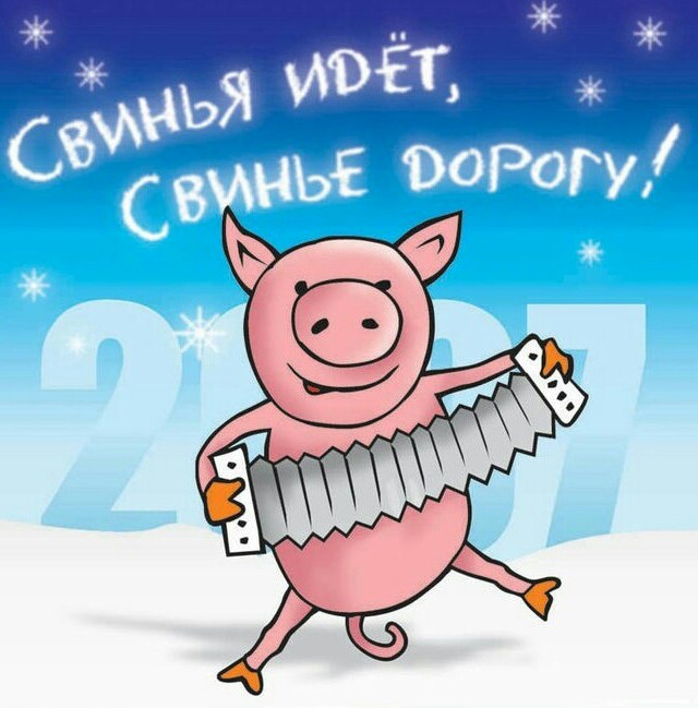 Смешная картинка: Свинья идет, Свинье дорогу! Шуточные статусы и поздравления с Новым годом Свиньи.