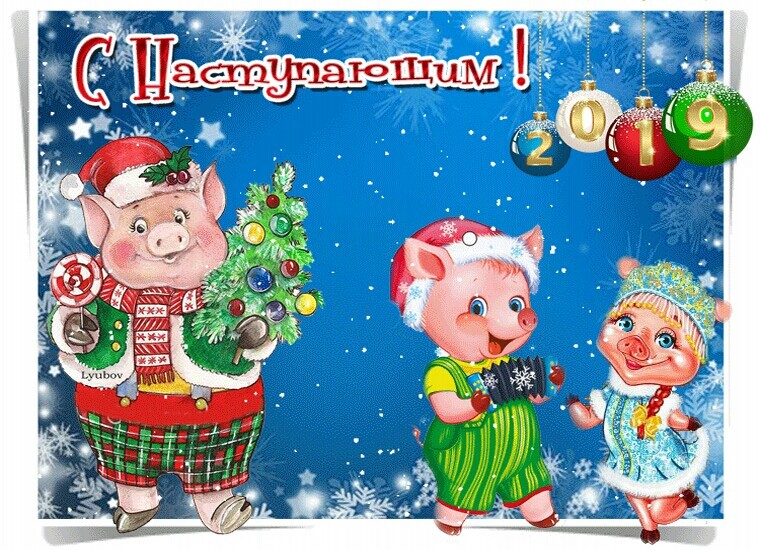 2019 год Свиньи - С наступающим Новым годом Свиньи: картинки, открытки, статусы в картинках, поздравления, пожелания, стихи, проза