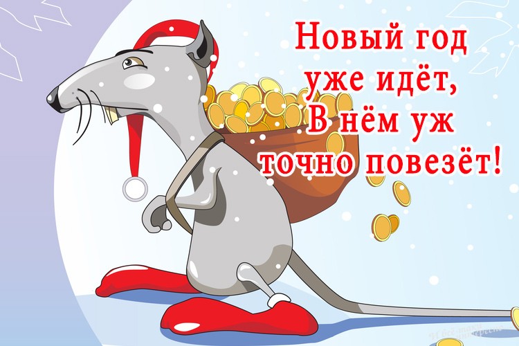 Новый год уже идёт, В нём уж точно повезёт! открытка с Крысой