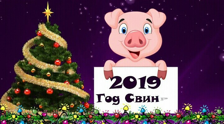 Красивые открытки с Новым годом 2019 год Свиньи красивые с надписями скачать - Прикольные новые картинки с Новым годом 2019 год Свиньи красивые