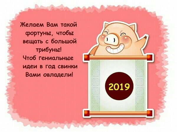 Самые новые открытки с Новым 2019 годом годом Свиньи красивые прикольные смешные - СМС поздравления с Новым годом 2019 Свиньи смешные короткие прикольные шуточные