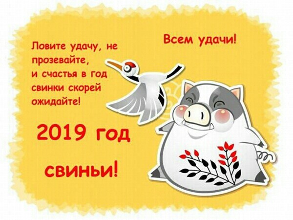 Красивые открытки с Новым годом 2019 год Свиньи красивые с надписями скачать - Прикольные новые картинки с Новым годом 2019 год Свиньи красивые