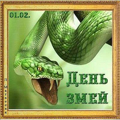 01. 02. День змей фото картинки открытки