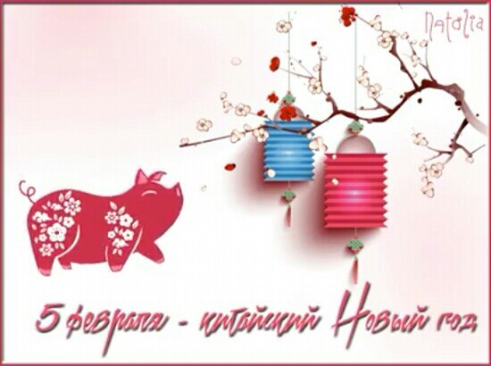 5 февраля 2019 года начнётся год Свиньи. Поздравление с Китайским Новым годом картинки. 5 февраля Китайский Новый год 2019 картинки и открытки со Свиньей и китайскими фонариками