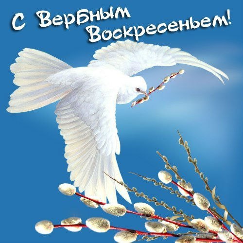 Православное Вербное воскресенье открытки с поздравлениями скачать бесплатно