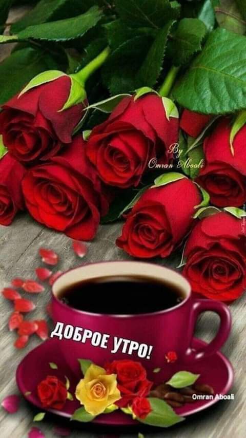 Картинки С добрым утром прикольные: Доброе утро! на фоне чашечки кофе и очень красивых роз