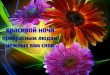 Открытка красивая для друзей и подруг, цветы: Красивой ночи прекрасным людям! Нежных вам снов...