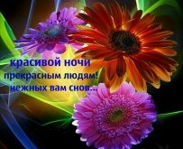 Открытка красивая для друзей и подруг, цветы: Красивой ночи прекрасным людям! Нежных вам снов...