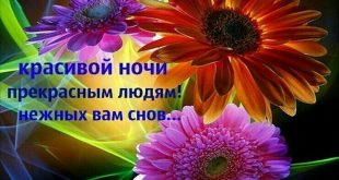 Открытка красивая для друзей и подруг, цветы: Красивой ночи прекрасным людям! Нежных вам снов...