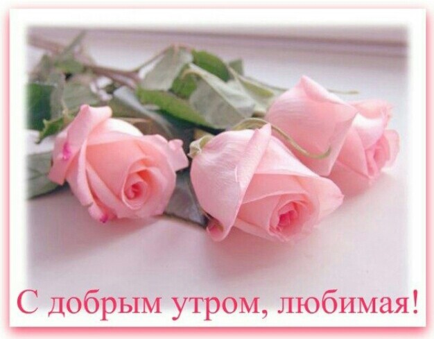 Открытки нежные с розами, фото с надписью: Доброе утро, любимая!