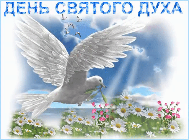 17 июня 2019 - Духов день поздравления в стихах, красивые картинки - День Святого Духа - открытки