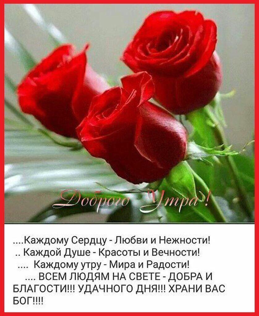Красивая открытка с классным оригинальным пожеланием на каждый день, стихи - Изображение на картинке: три розы