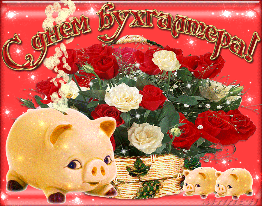 Гиф открытки с Днём бухгалтера прикольные, с юмором - Шуточное изображение: свинки с розами