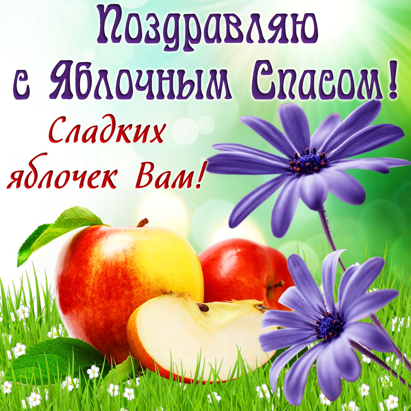 большая открытка с пожеланиями яблочным спасом вас: Поздравляю с Яблочным Спасом! Сладких яблочек Вам!