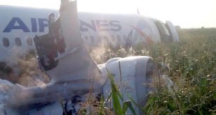 Самолет сел в поле после вылета из Жуковского - Самолет Уральских авиалиний совершил экстренную посадку на кукурузное поле