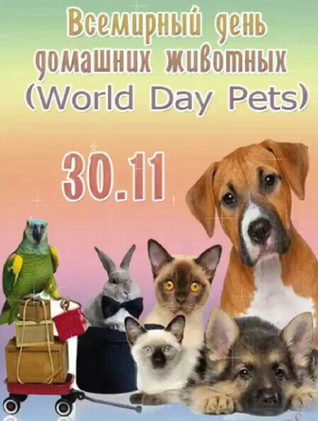 30 ноября - Всемирный день домашних животных (World Day Pets, Международный день домашних животных)
