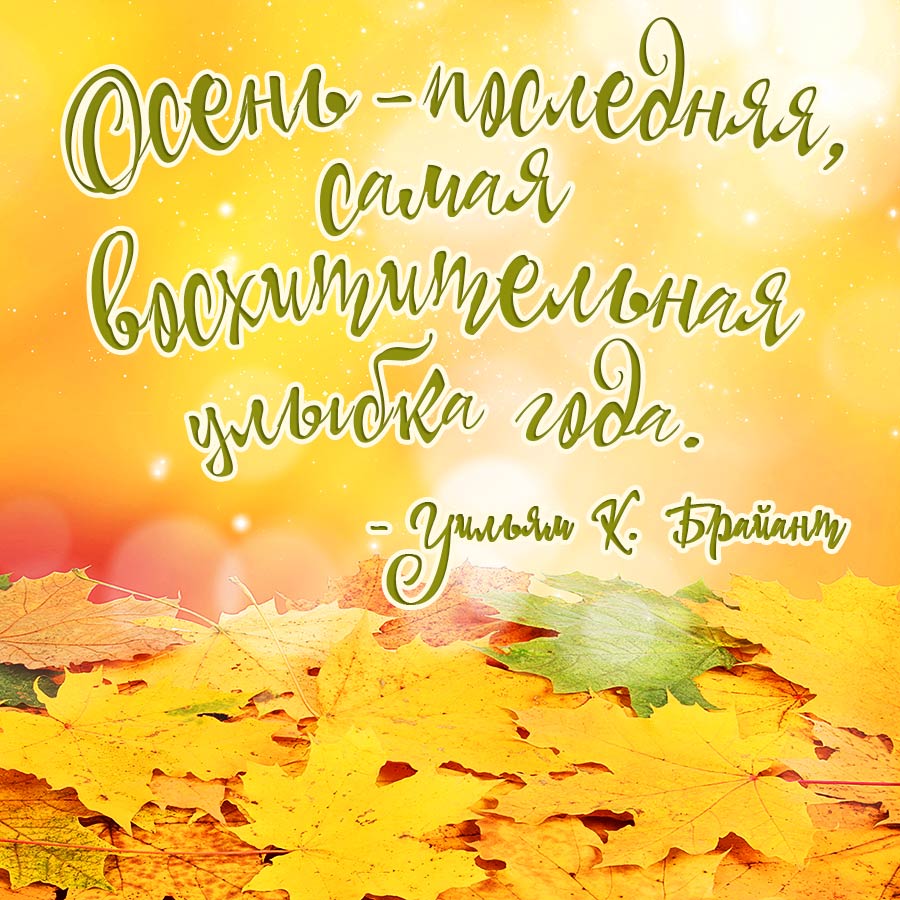 Ноябрь. Статусы про осень в прозе. Осенняя открытка с красивой цитатой