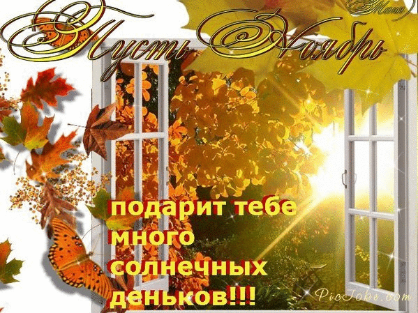 Гифки, картинки ноября красивые нежные с теплым пожеланием в прозе: Пусть ноябрь подарит тебе много солнечных деньков!!!