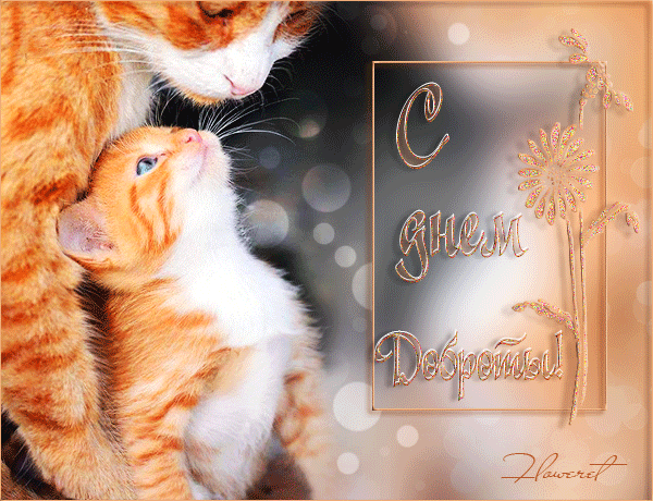Милая нежная открыточка с Днем доброты - Гифка, анимашка, фото, картинка прикольная с изображением мамы кошки и и котенка