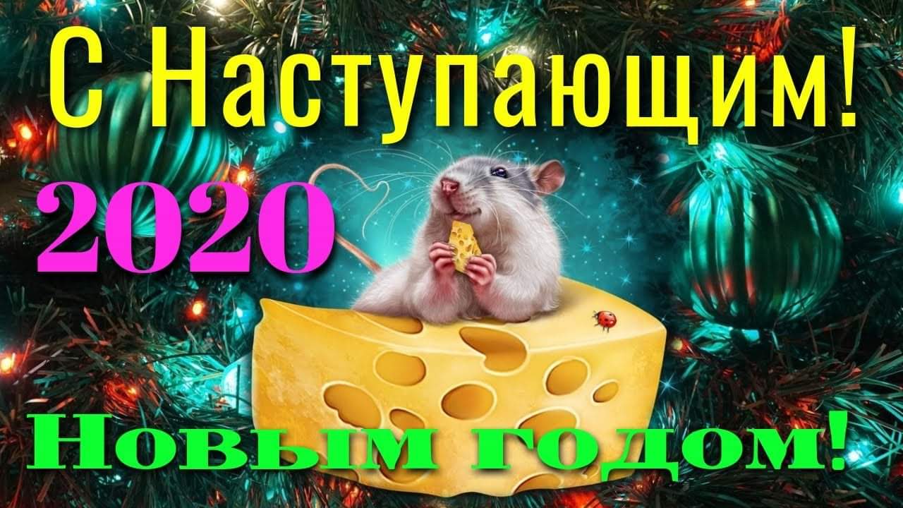 С наступающим Новым годом Крысы 2020 - картинки прикольные с поздравлениями
