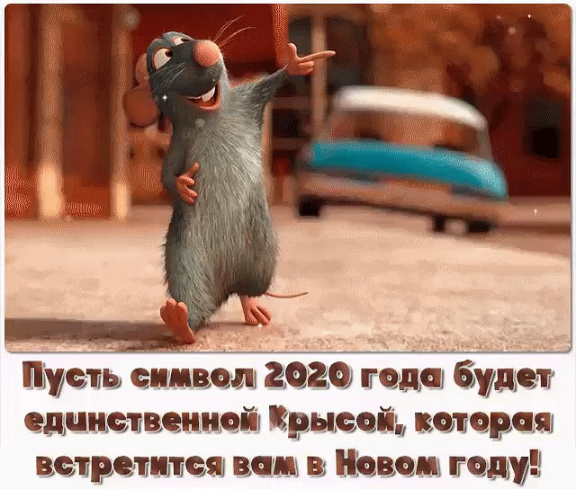 Пожелания в год Крысы смешные в картинках - Короткие пожелания на Новый год 2020 в прозе с юмором: Пусть символ 2020-го года будет единственной Крысой, которая встретится вам в Новом году!