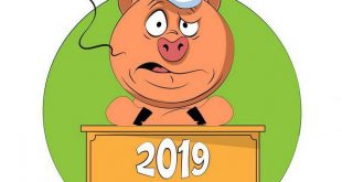 Очень смешные картинки в ожидании Нового Года 2019 - Слова благодарности уходящему году - Поздравление с уходящим годом и наступающим Новым Годом