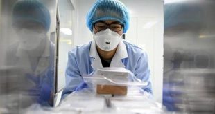 В Гонконге исследователи заявили о создании вакцины против коронавируса 2019-nCoV