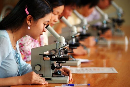11 февраля — Международный день женщин и девочек в науке