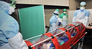 Коронавирус обнаружили в Беларуси: заболевший приехал в страну еще 22 февраля - Министерство охраны здоровья Беларуси