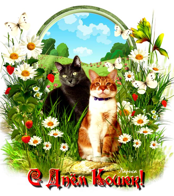 День котов и кошек: 17 февраля, 1 марта, 8 августа - открытки с поздравлениями