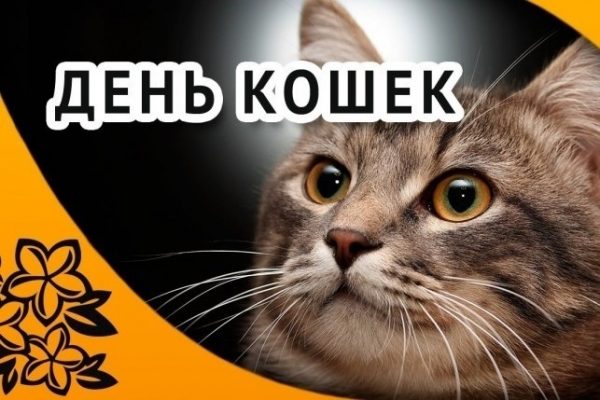 День котов и кошек: 17 февраля, 1 марта, 8 августа - открытки с поздравлениями
