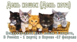 День кошек, День кота, 17 февраля праздники, праздники в феврале