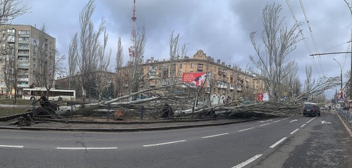 Непогода 24 февраля: сегодня по улицам городов опасно перемещаться - ветер валит деревья и срывает крыши домов - ситуация в Украине